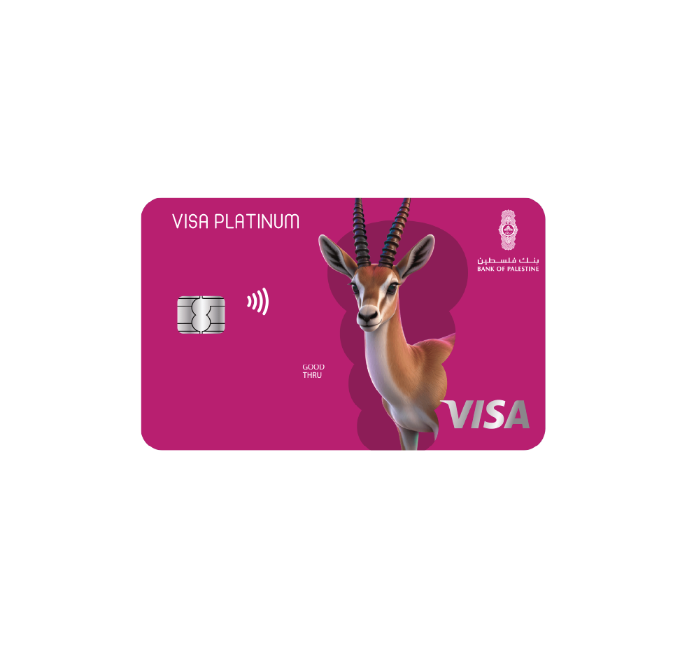 Visa Platinum