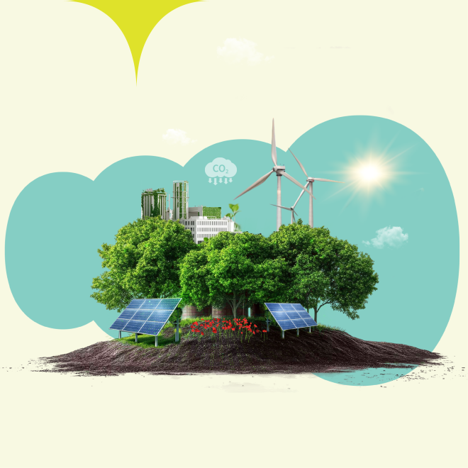 Sustainability and Social Impact