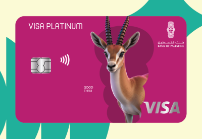 Visa Platinum